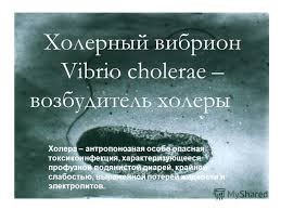 ﻿«О дополнительных мерах по профилактике холеры на территории Невонского муниципального образования»